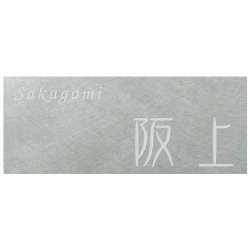 見せない表札ステンレスタイプ 表札画像